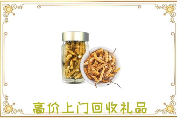遵义周边回收虫草
